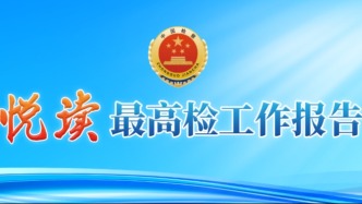 31张图，“悦读”最高检工作报告